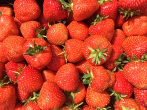 Netherby Hall Walled Garden Strawberries