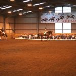 Blackdyke Farm Visit