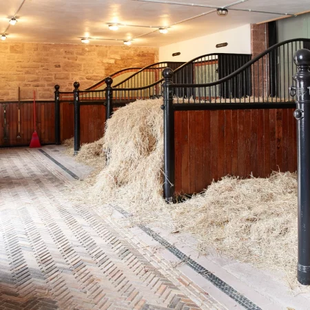 The restored working stables at Netherby Hall