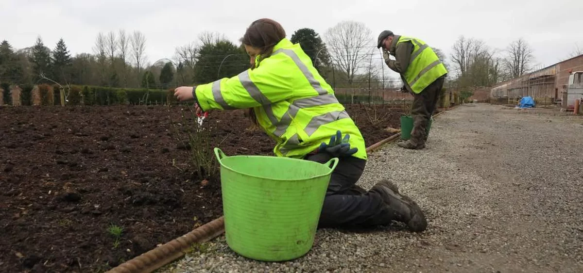 Weeding the Walled Garden