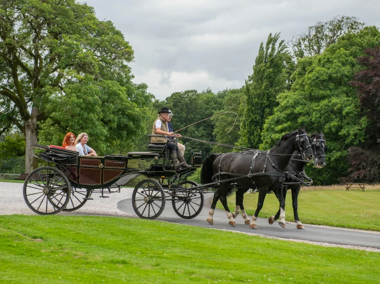 Netherby Hall Carriage Ride