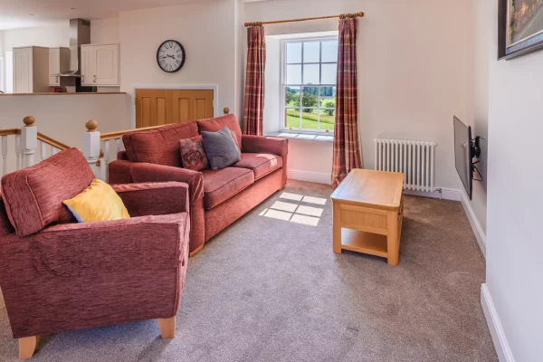 Lounge with Sofas and Table - Salutation Apartment