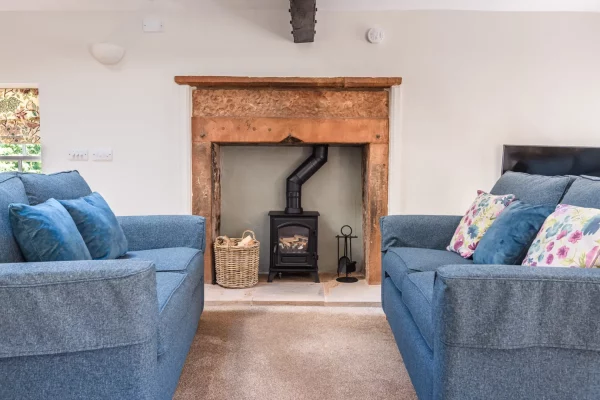 Log Burner in Lounge - Clock Tower Apartment