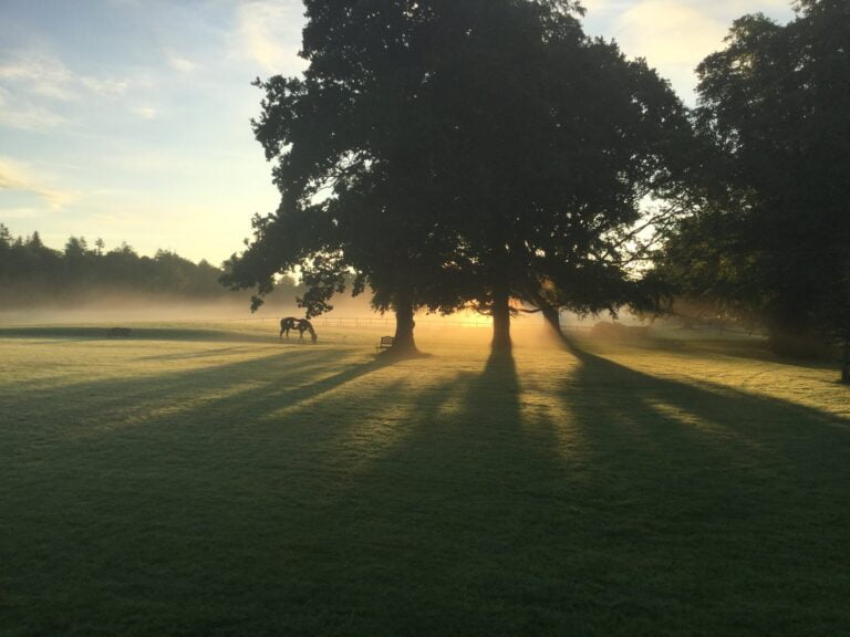 Autumn Grounds of Netherby Hall near Carlisle