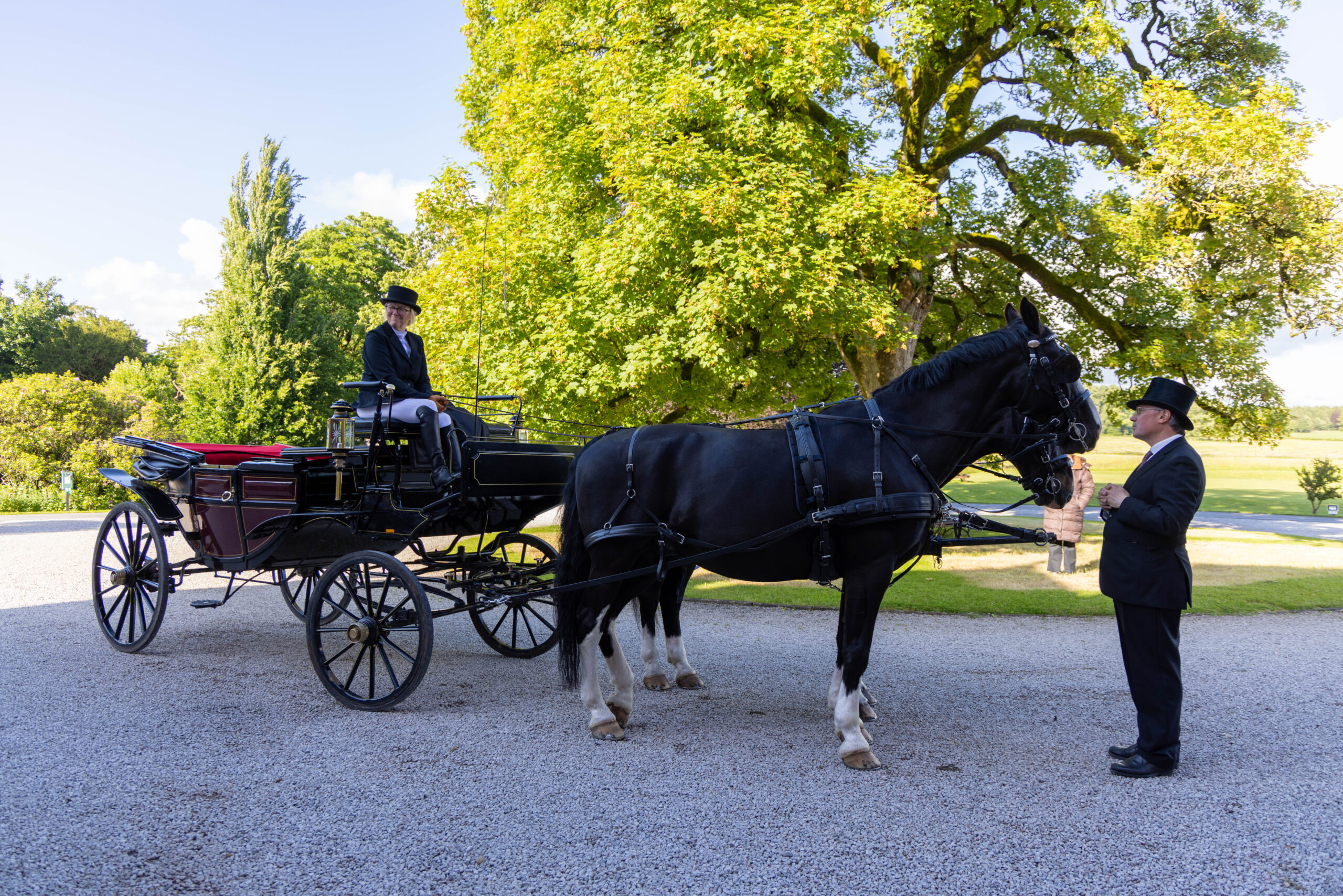 Summer 2025 Experiences