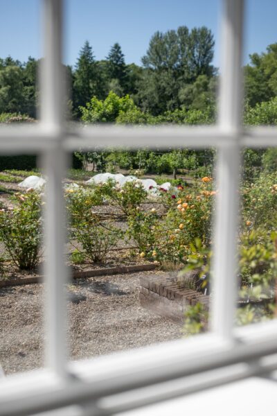 View through a window of the lush Walled Garden at Netherby Hall, overlooking blooming flowers and greenery from the Gardener's Cottage