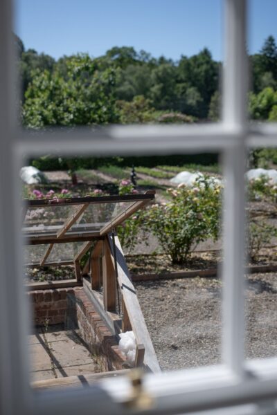 View through a window of the lush Walled Garden at Gardener's Cottage, Netherby Hall luxury self-catering accommodation in Cumbria